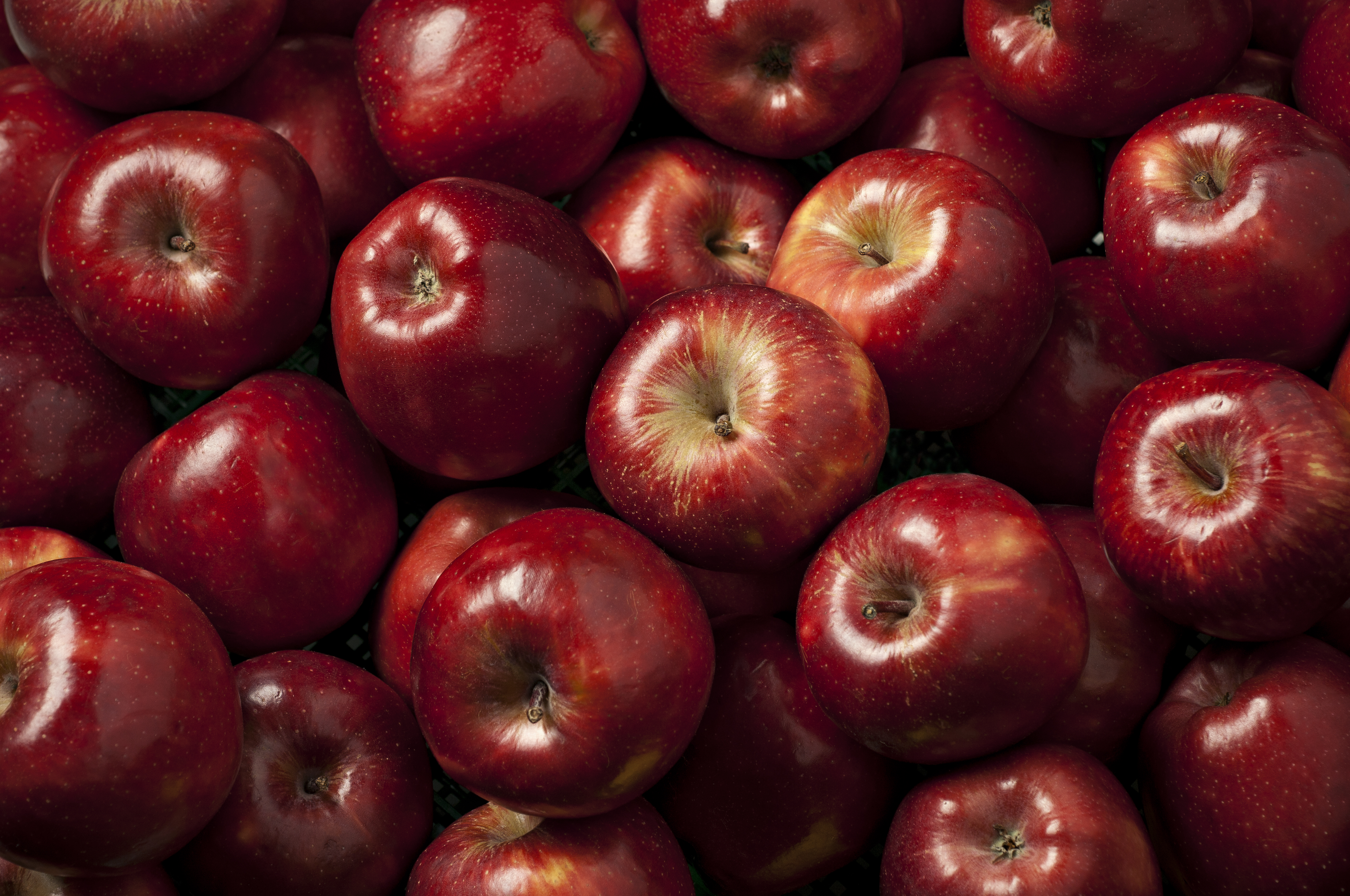 Курская область:Яблоня, сорт Red Delishes